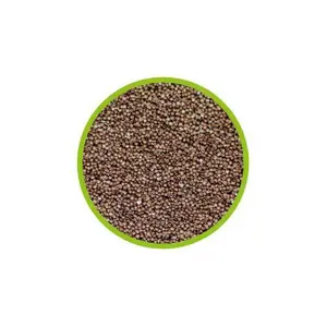 Huevos de artemia Hobby image-1