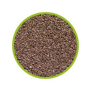 Artemia hatchery Hobby image-2