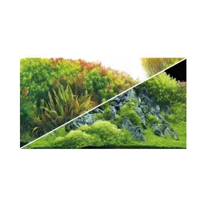 ho31044-forskuren-planta-hobby-gron