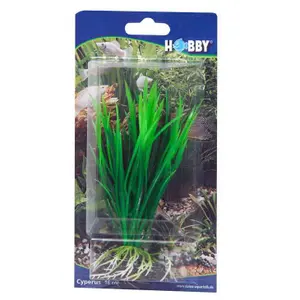 Aquarium accessories Hobby Cyperus image-1