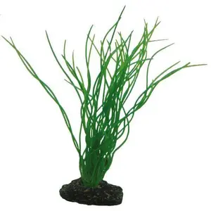 Aquarium decoration Hobby Sagittaria image-0
