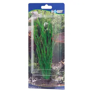Aquarium decoration Hobby Sagittaria image-1
