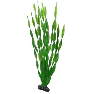 Décoration d’aquarium Hobby Vallisneria image-0
