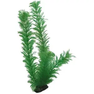 Accessoire pour aquarium Hobby Egeria image-1
