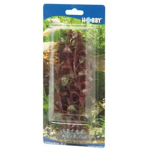 Décoration d’aquarium Hobby Rotala image-1