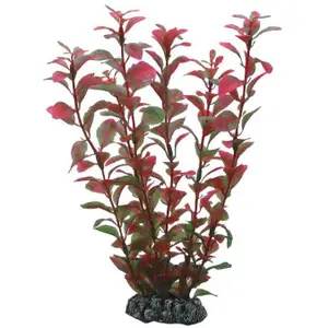 Accessoire pour aquarium Hobby Ludwigia