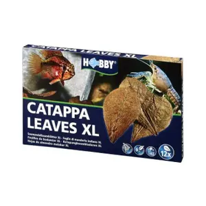 Μηχανή επεξεργασίας νερού Hobby Catappa Leaves XL (x12) image-1