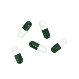 Cebo Especial Hobby Planaria X (x5) image-0