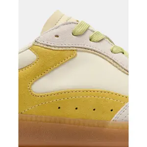 Trainers Hoff Park image-4