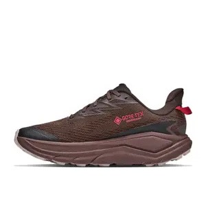 Chaussures de trail Hoka Challenger 8 GTX image-1