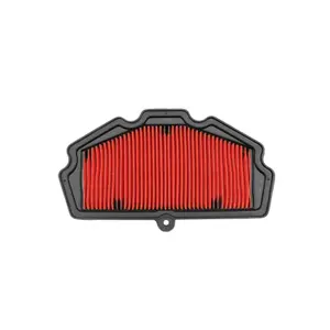 Motorcykel luftfilter Hokio Kawasaki Z650 17-24