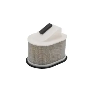 Motorcycle air filter Hokio Kawasaki Z750/ Z1000 04-12