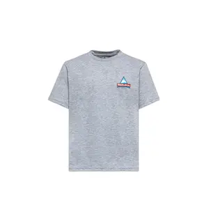 ss22m001-gb16-t-shirt-holubar-logo-jj20-grey
