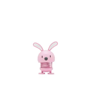 Decorative figurine Hoptimist Lapin image-0