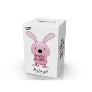 Decorative figurine Hoptimist Lapin image-1
