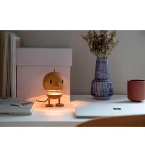Dekorative Lampe Hoptimist image-1