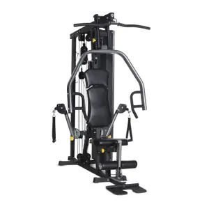 Appareil de musculation Horizon Fitness Taurus 3