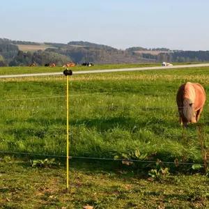 Pfahl aus Glasfaser Horizont (x10) image-2