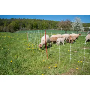 Filet pour clôture mouton Horizont N7 Turbomax image-3