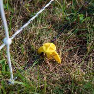 Dwupunktowa siatka na owce Horizont Turbomax image-2