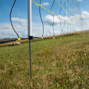 Netz für Schafzaun Horizont Horinetz image-4