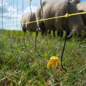 Filet pour clôture mouton double pointe Horizont Horinetz image-2