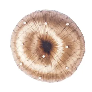 Hårnät för kvinnor HORKA Pearl image-0