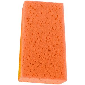 145054-127-svamp-horka-orange-tu