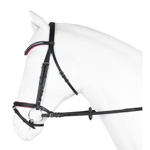Bridles Horka Jolly image-0