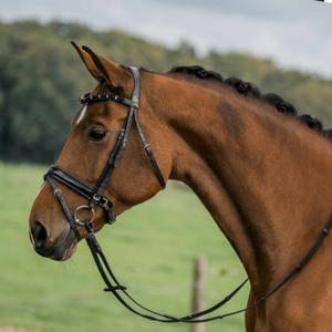 Mostki Horka Flamingo image-1