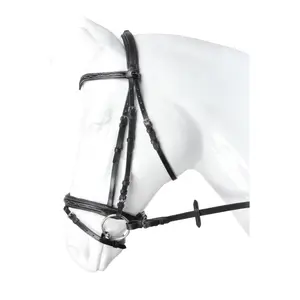 Bridons HORKA Verdi image-0