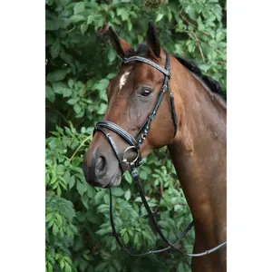 Bridons HORKA Verdi image-1