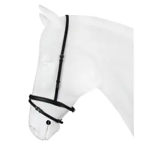 Muserolle cheval combinée doublé blanc HORKA image-0