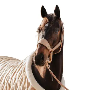 Ensemble licol et longe pour cheval en velours HORKA image-1