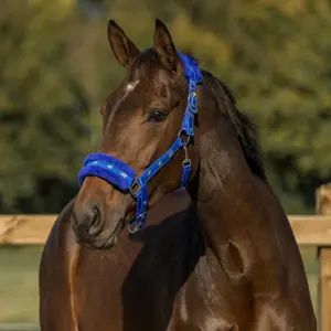 Halster voor paarden HORKA Plush image-1