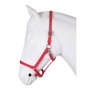 Halter for horse base Horka image-0