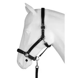 Ensemble licol pour cheval ride more HORKA Equestrian image-1
