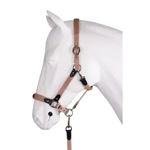 Ensemble licol pour cheval ride more HORKA Equestrian image-0