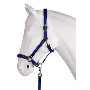 Ensemble licol pour cheval ride more HORKA Equestrian image-1