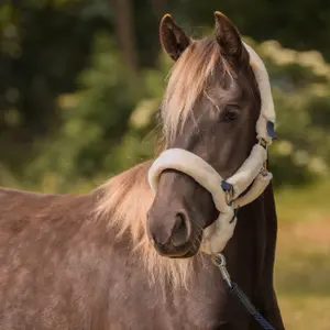 Halter for horse with fur protection Horka image-1