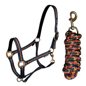 Ensemble licol pour cheval HORKA Equestrian pro image-0