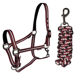 Hoofdstelset voor paard HORKA Equestrian pro image-0