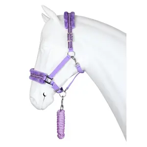 Halter and lead rope set for horse Horka Angel