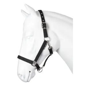 Licol pour cheval HORKA Nubuck image-0