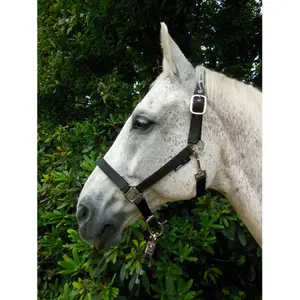 Licol pour cheval HORKA Nubuck image-1