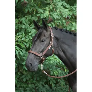 Licol pour cheval HORKA Nubuck image-1