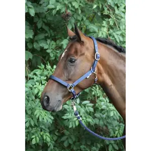 Licol pour cheval HORKA Nubuck image-1