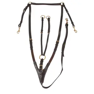 180259-235-jakthalsband-horka-brun-gyllene