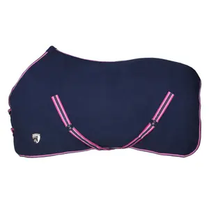 Couverture d'extérieur pour cheval polaire HORKA 270 g image-1
