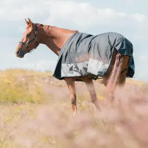 Sommerregendecke mit Baumwollfutter für Pferde Horka image-2